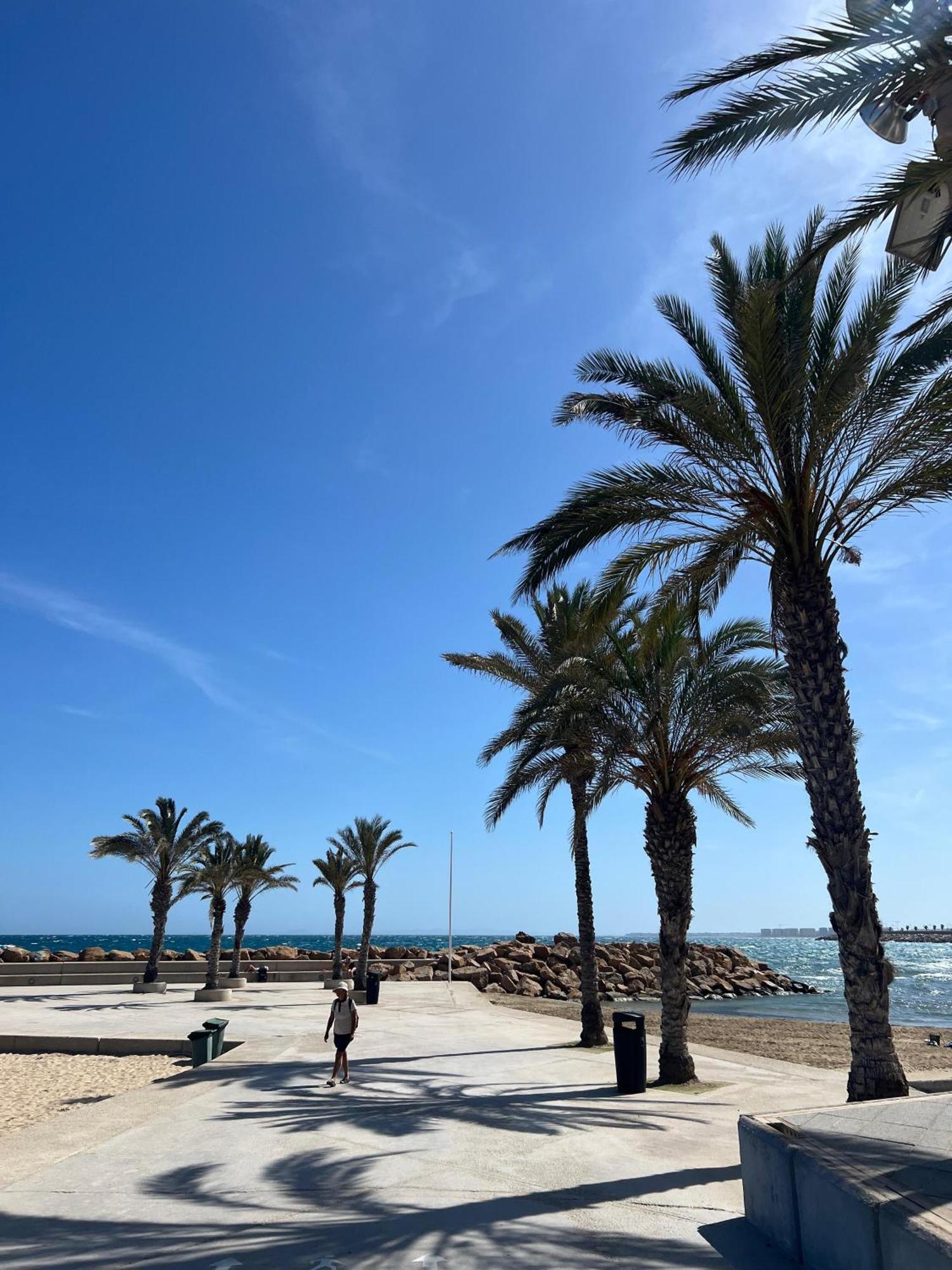 Appartement Torrevieja Alicante Zewnętrze zdjęcie
